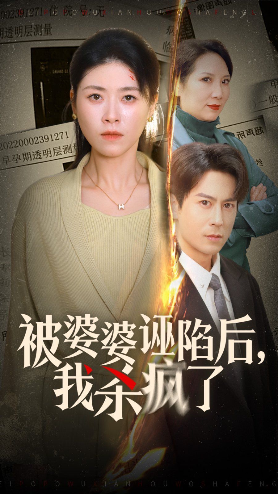 被婆婆诬陷后我杀疯了 - 全集完结_导员演员_可薇影影-影视解析网